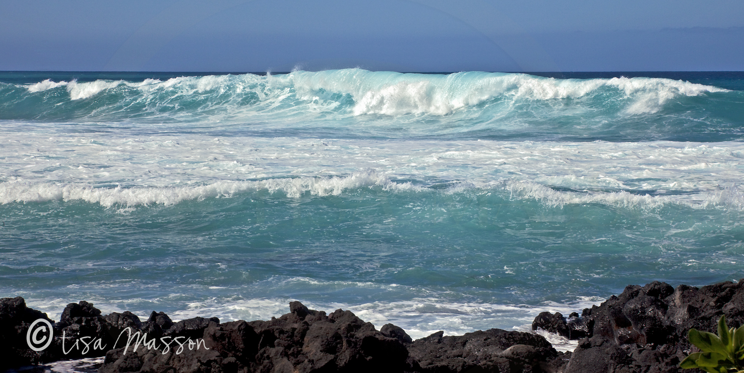 Hawaii Wave Portrait 5131 ©