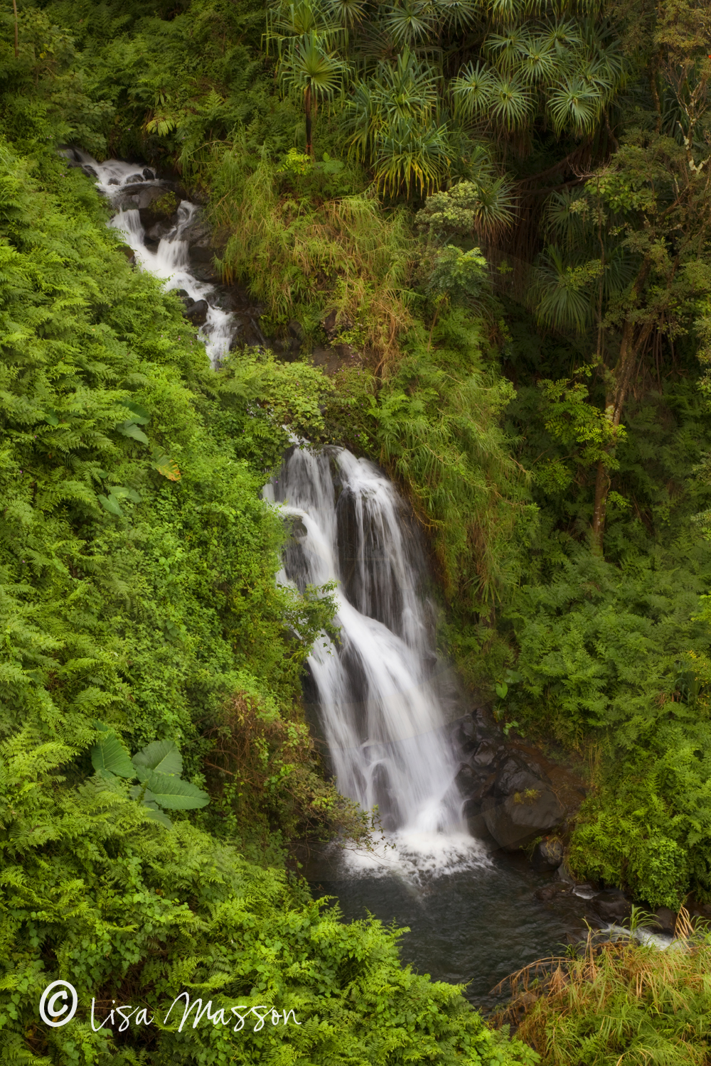 Hawaii Waterfall 262 ©