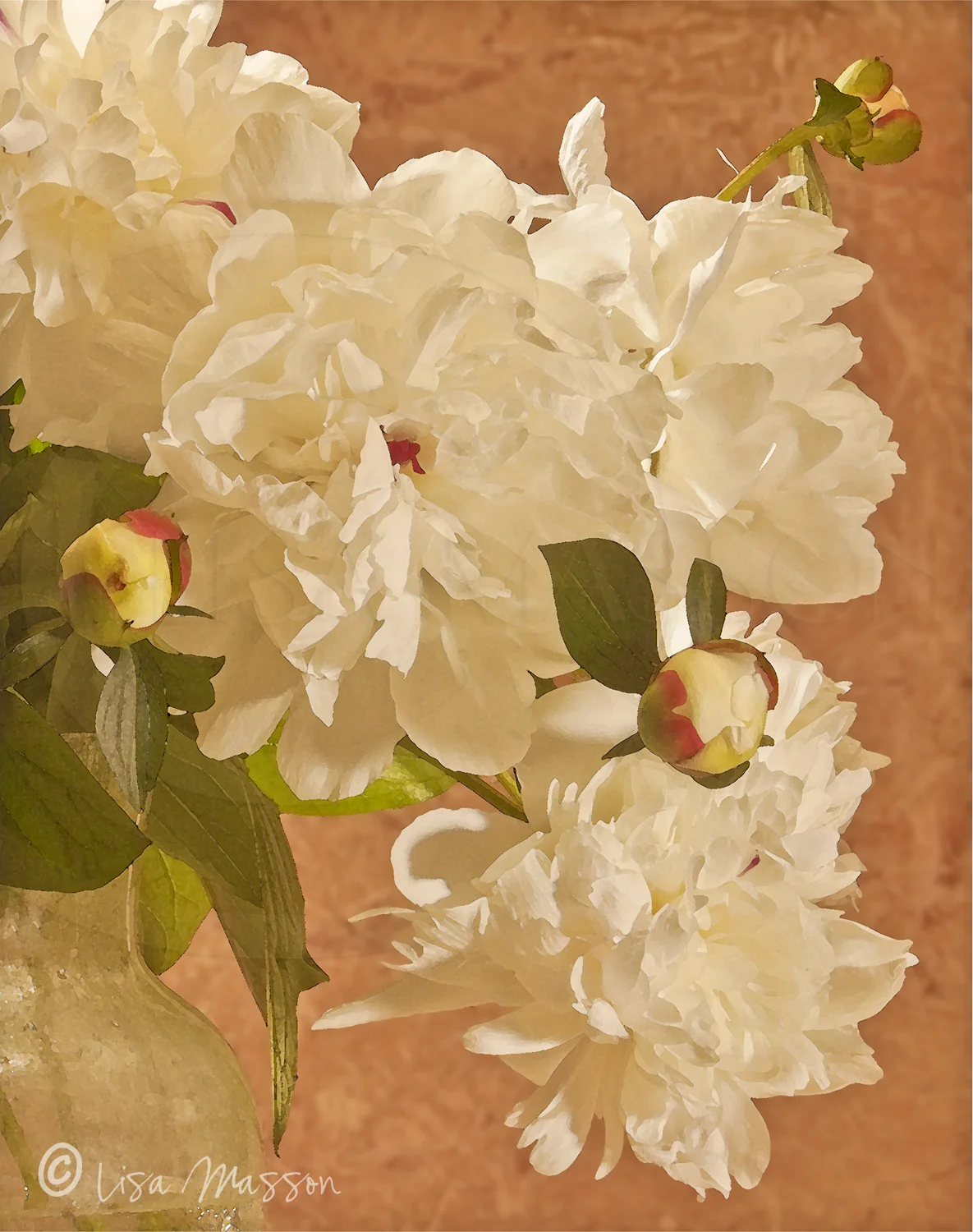 Peony 2.jpg