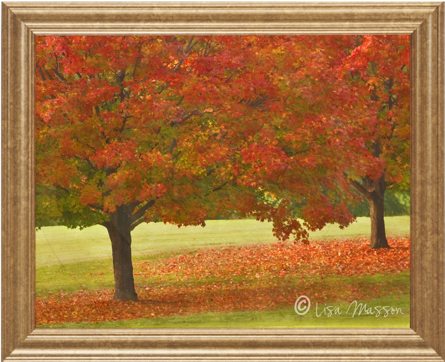 Fall Maple 2 Framed.jpg