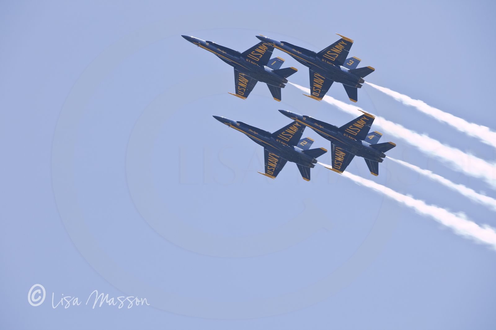 Blue Angels 5698©.jpg