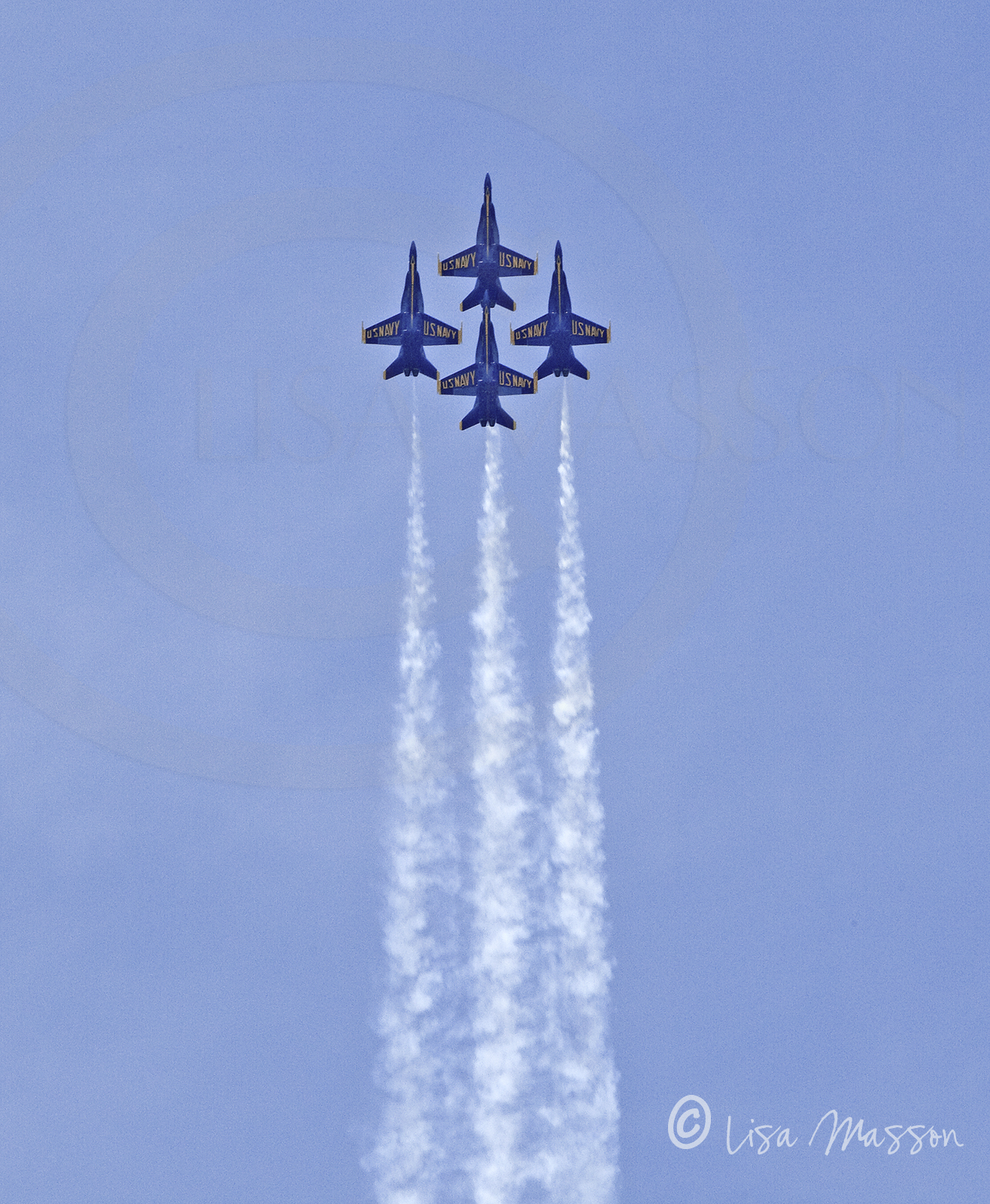 Blue Angels 5811©.jpg