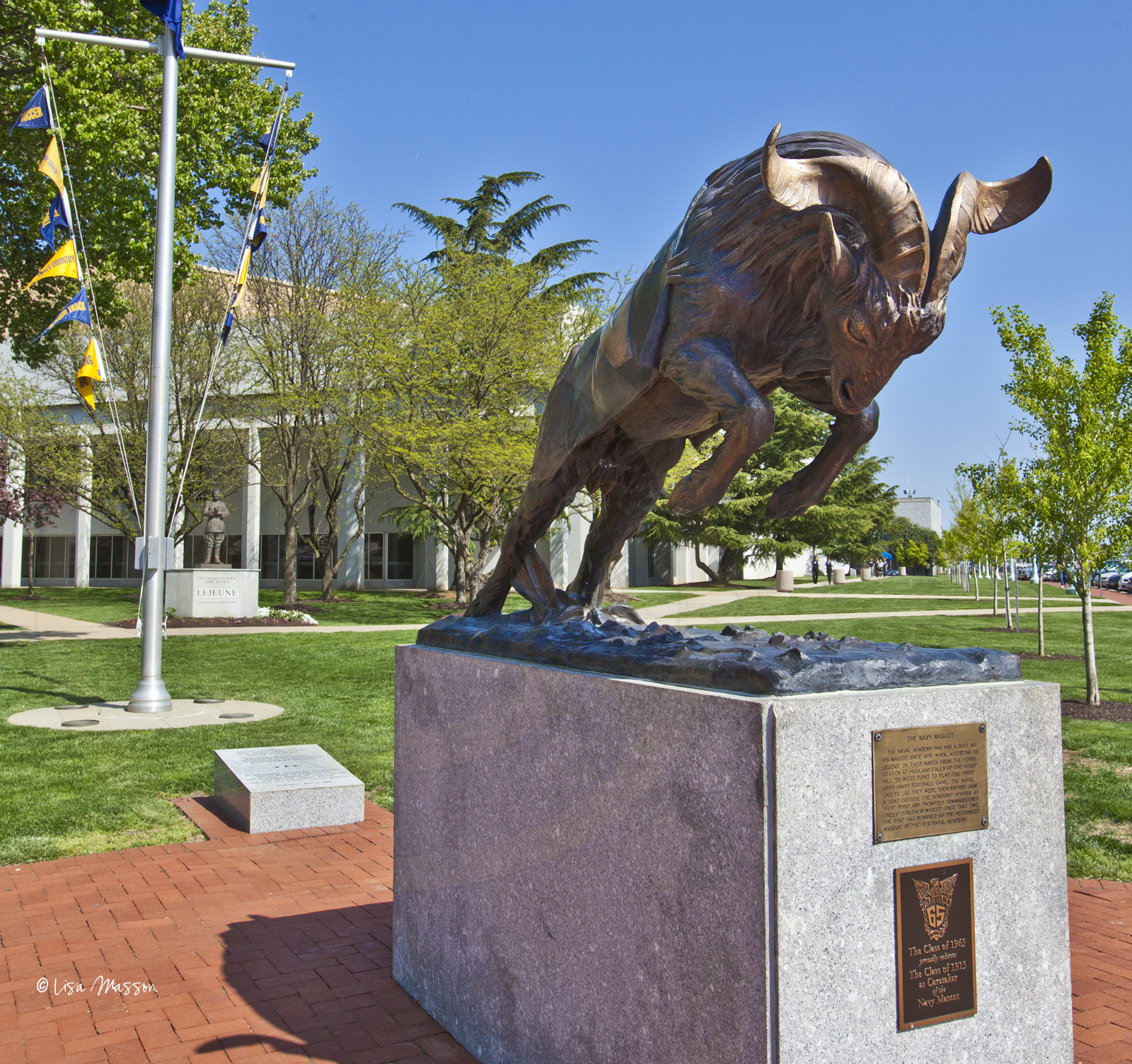 31 USNA Billy 3891©.jpg