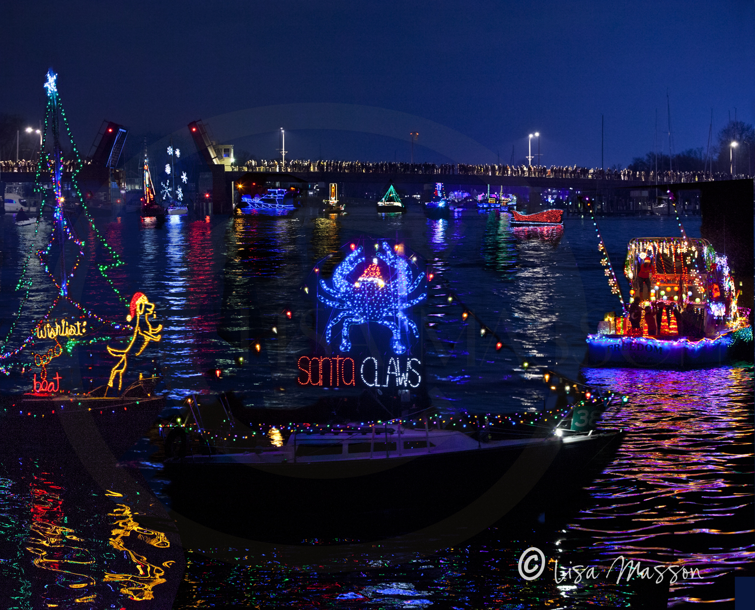 Light Parade 5208b.jpg