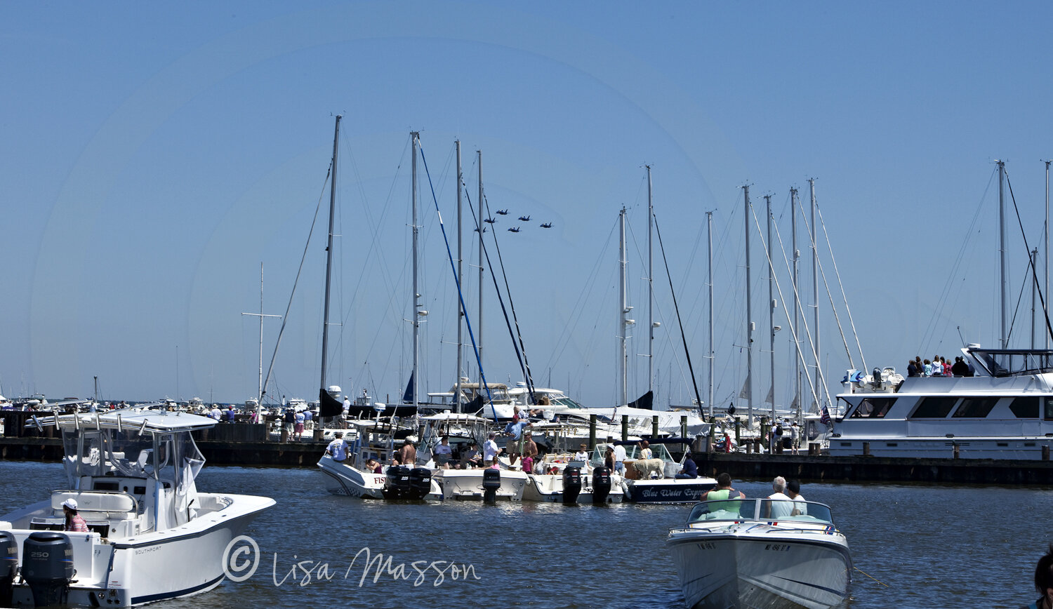 Blue Angels 5882©.jpg