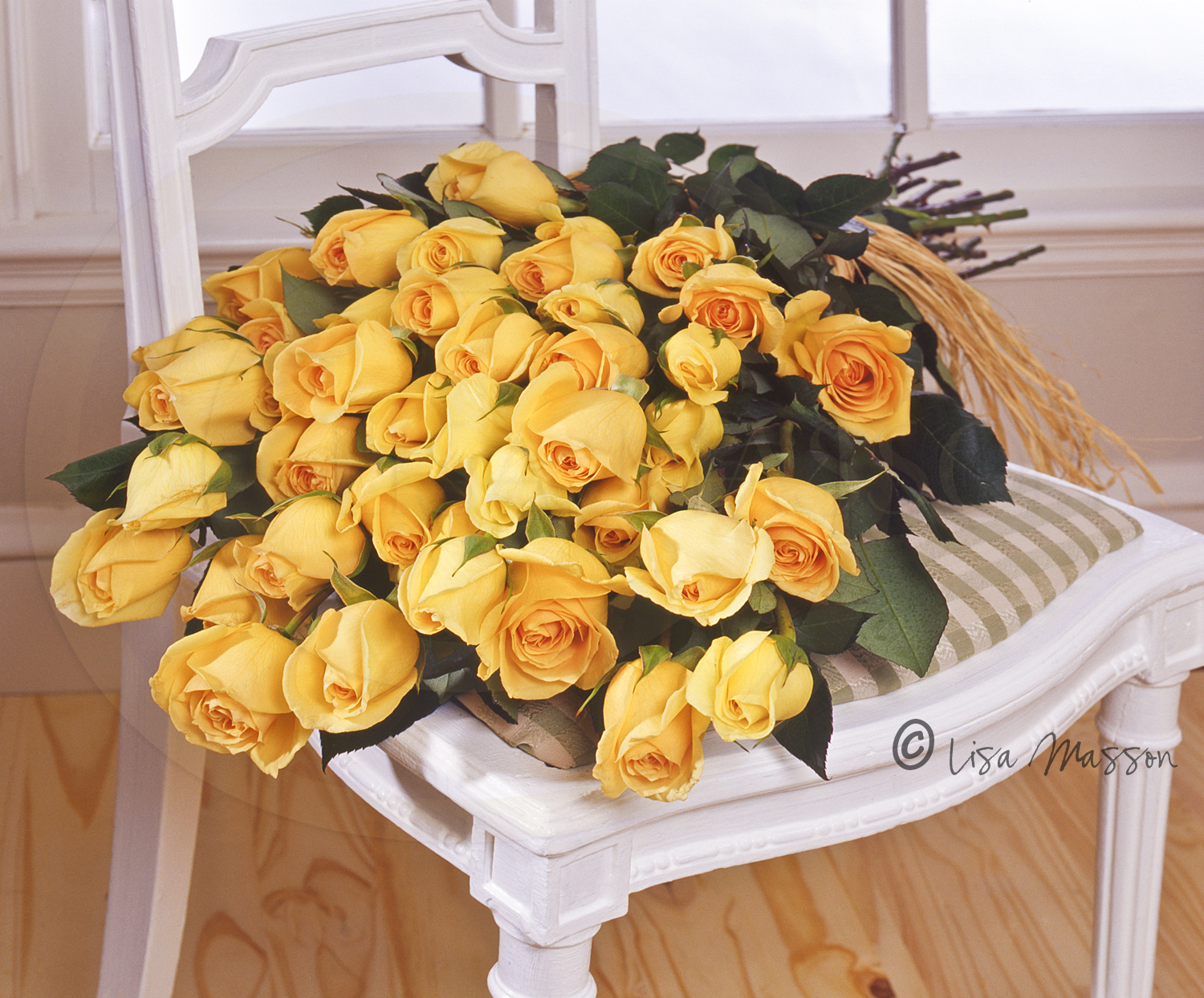 usf2405 Yellow Roses©.jpg