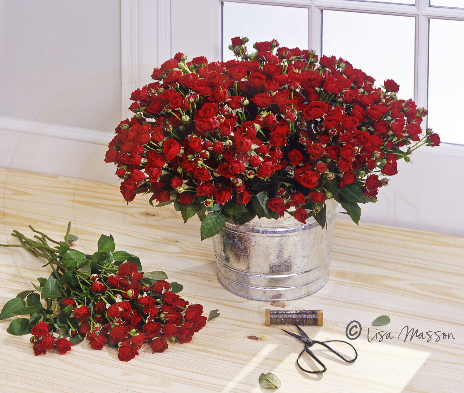 usf2408 Red Spray Roses©.jpg