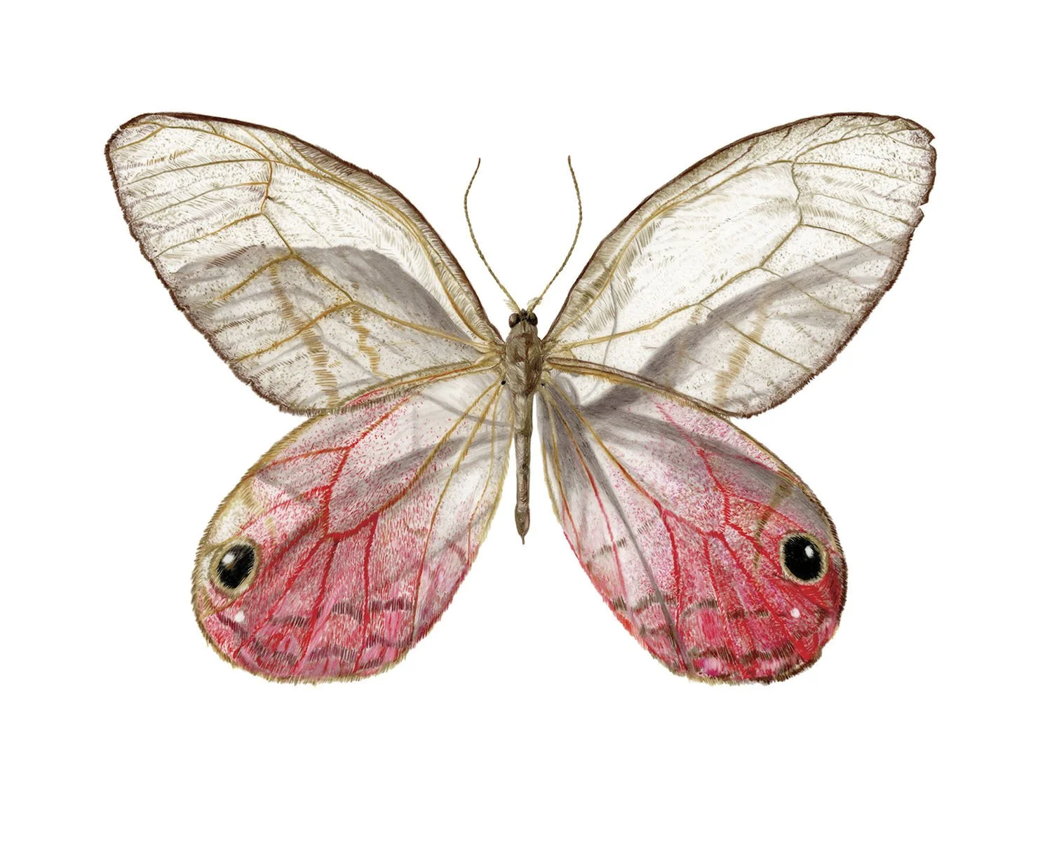 RoseyPosey-150dpi-8x10-printfinal-RGB.jpg