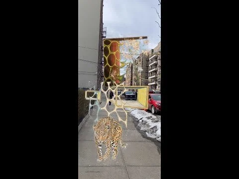 AfAH AR Cheetah Banner (Copy)