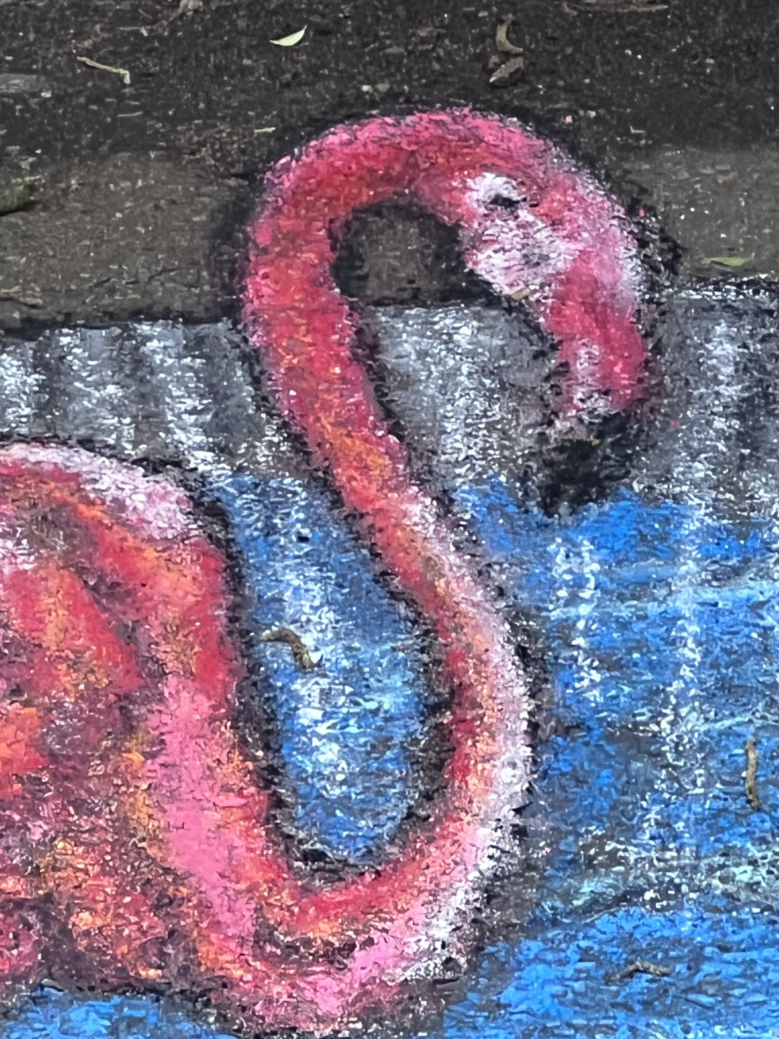 IMG_6772.jpeg