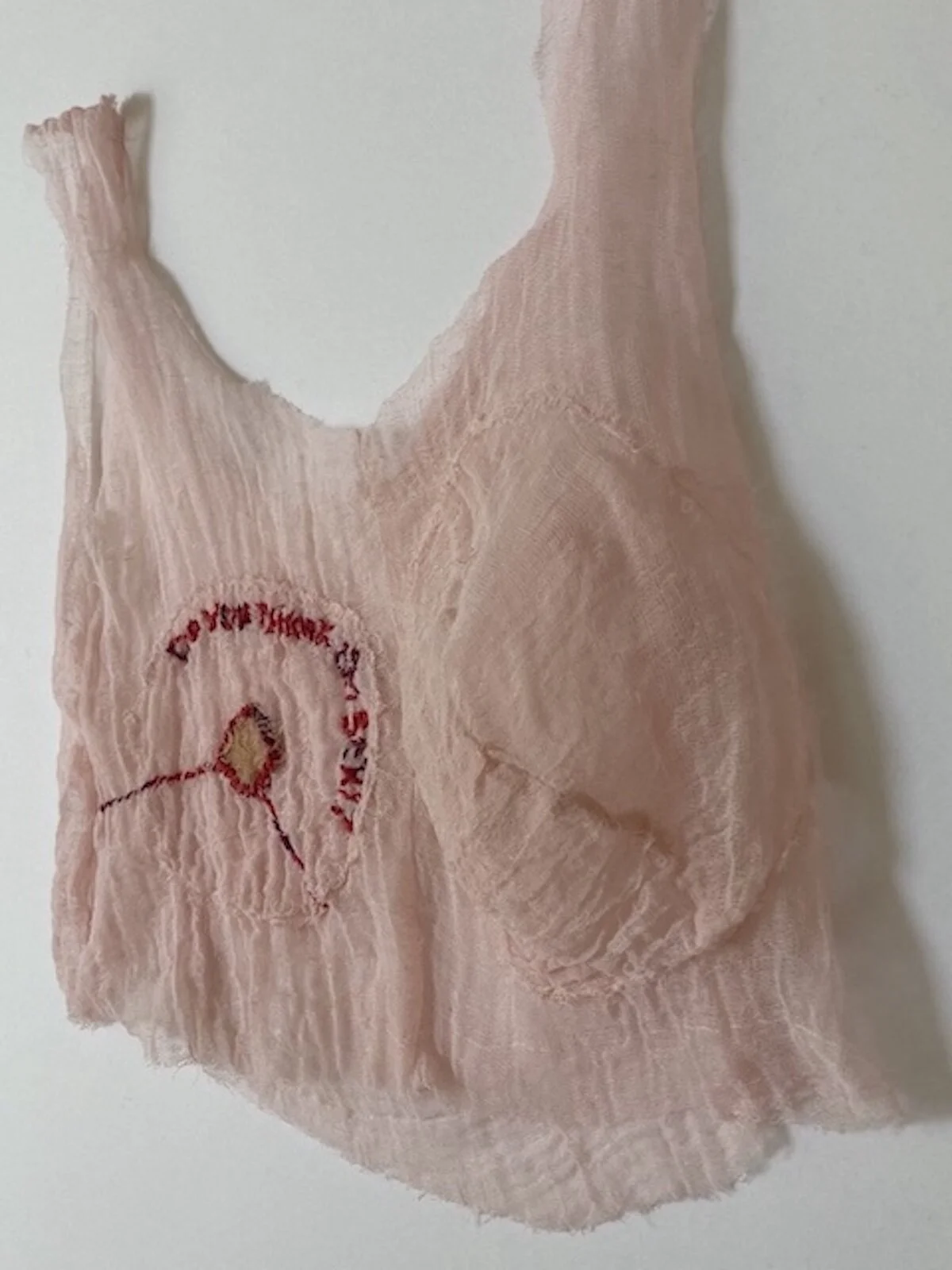 Bralette 1200  pixels.jpg