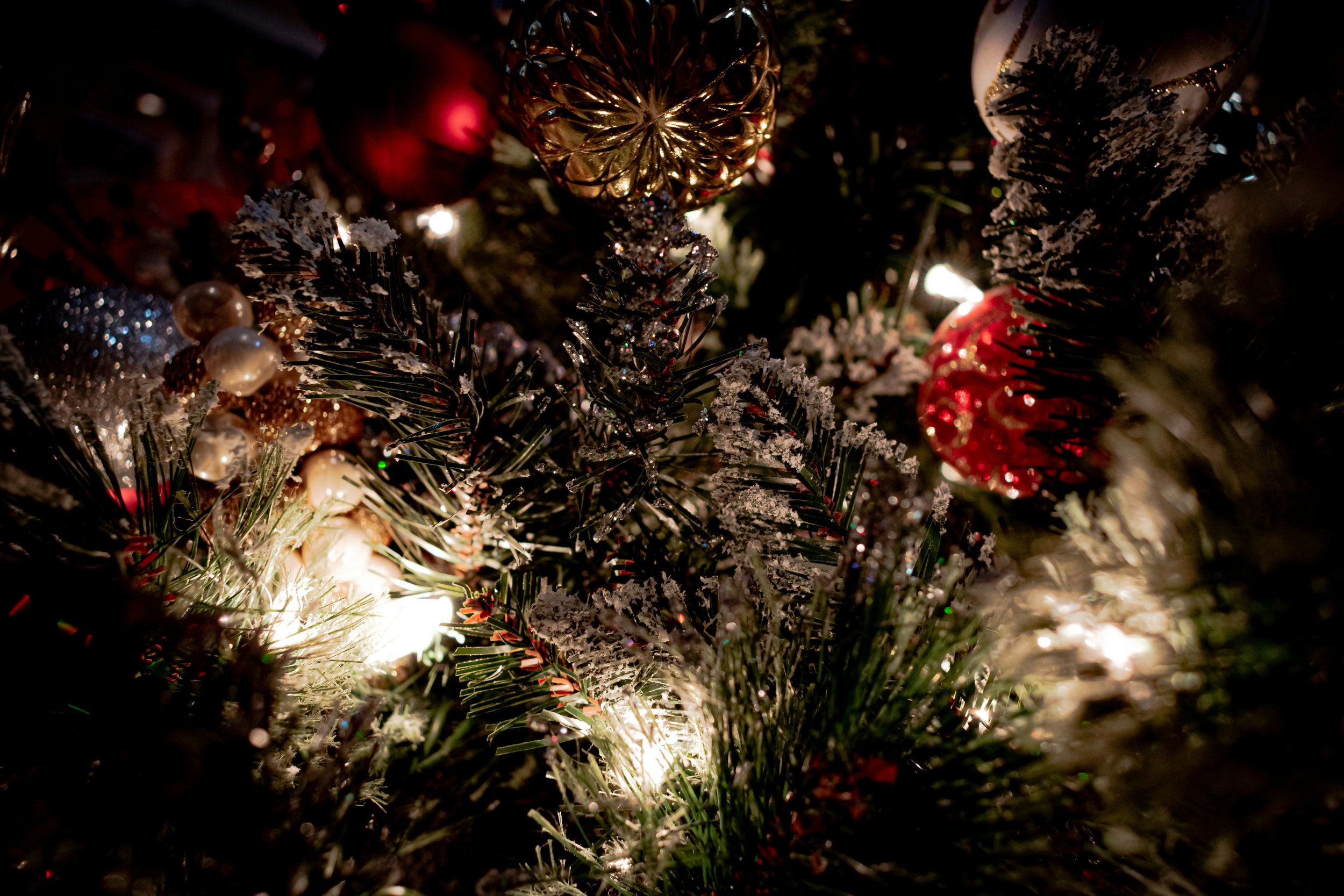 Un-Decorate the Tree Night