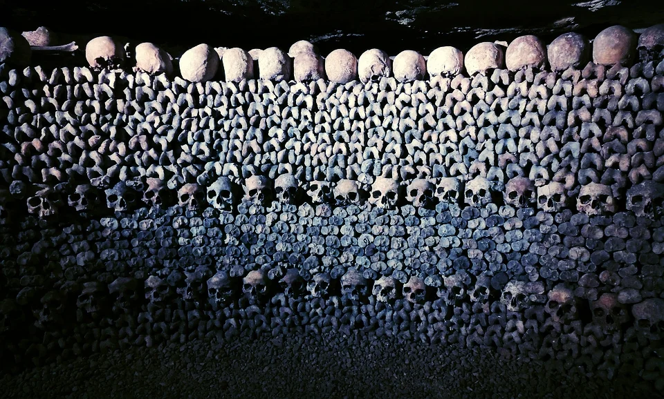 skulls-1233643_960_720.jpg