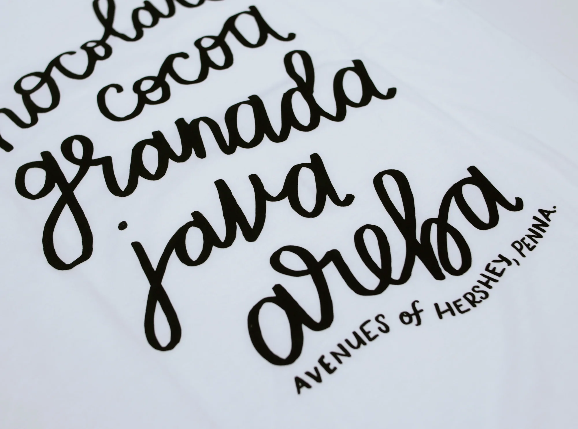 Avenues of Hershey Tee Shirt