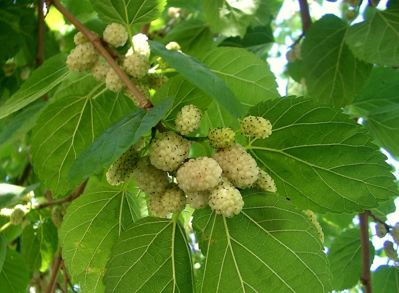 title2-image-2.jpg