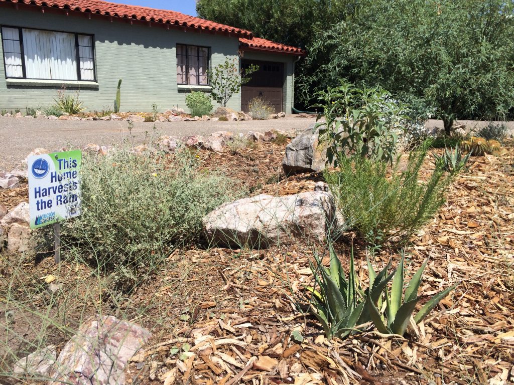 A homeowner’s water harvesting basin, supported by the City of Tucson and Tucson Water.