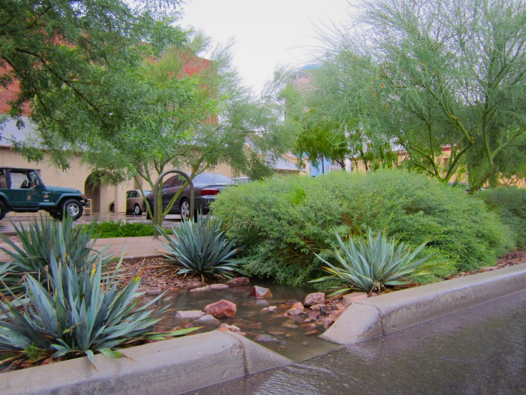 Curb cut and basin at work during a monsoon rain on Scott Avenue.