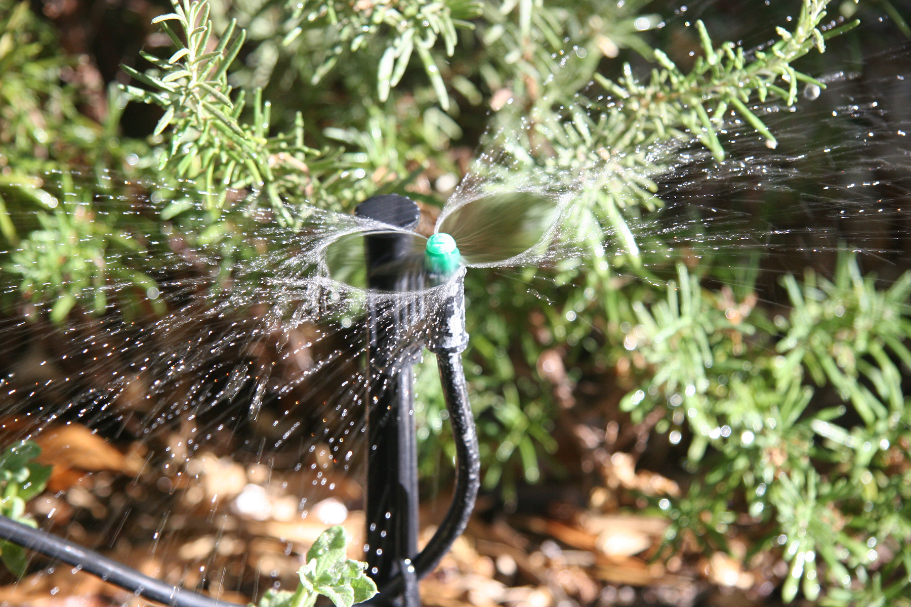 5-install-drip-irrigation.jpg