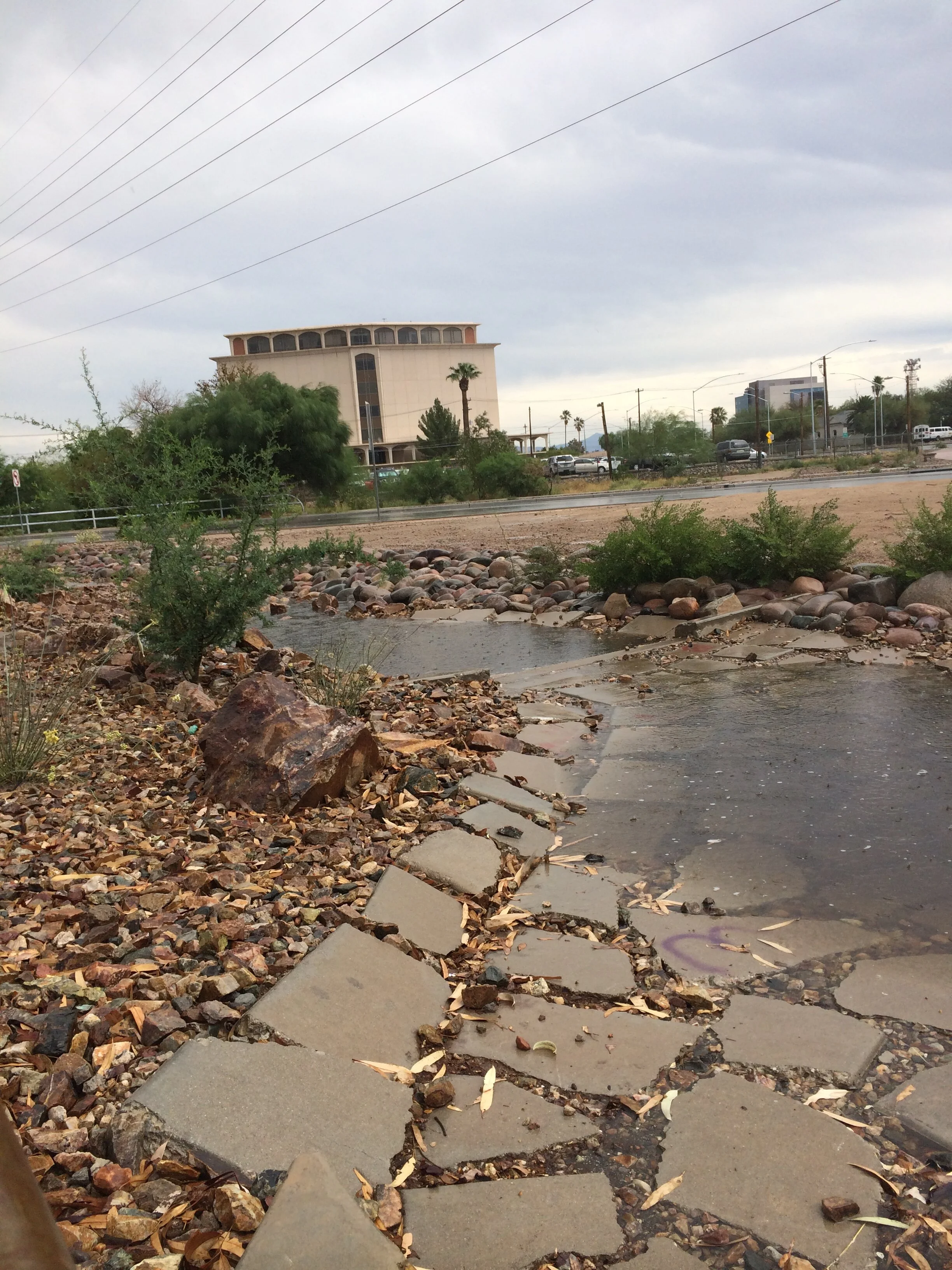 Laura's phone Dec 2014 099.JPG