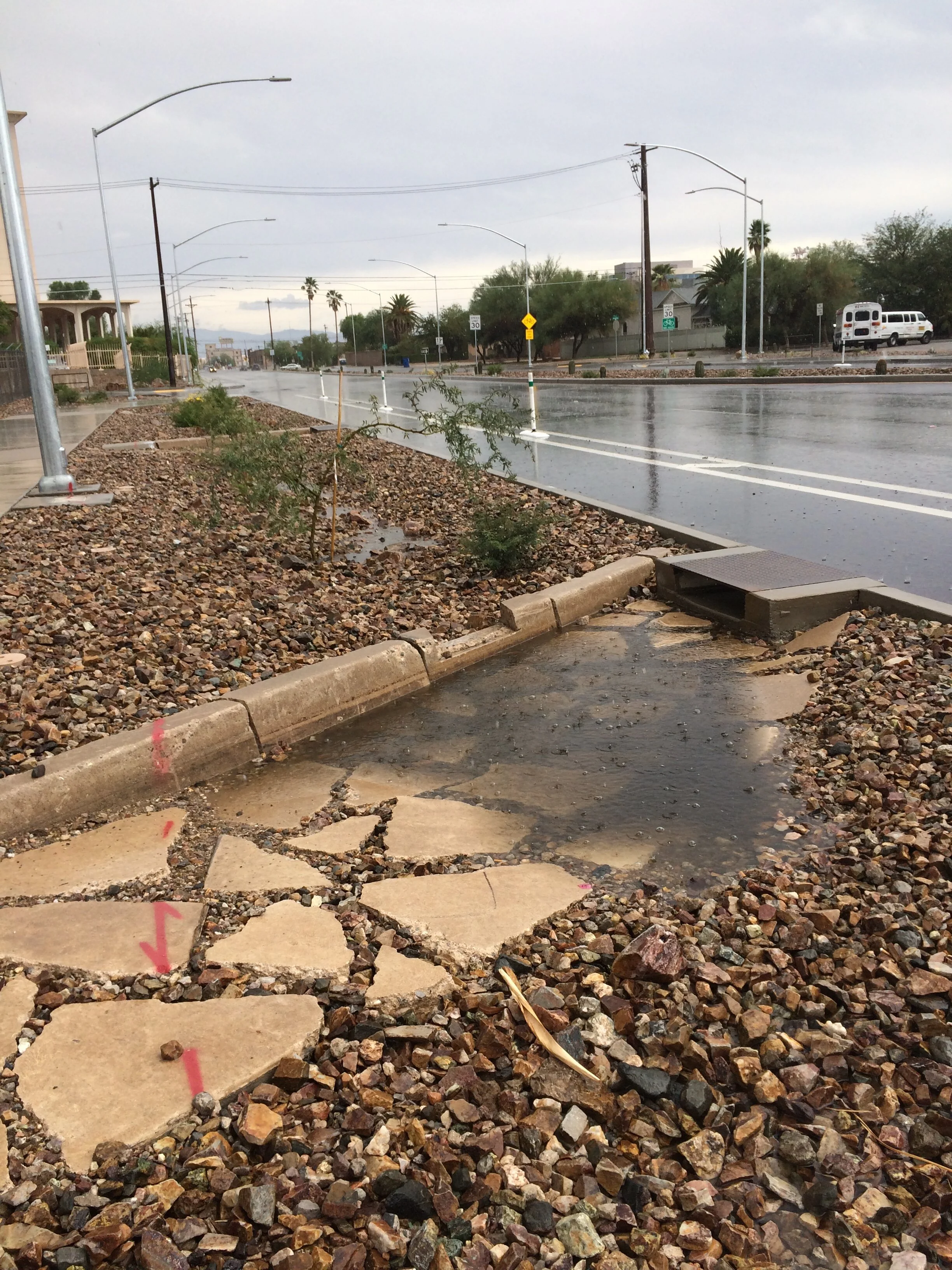 Laura's phone Dec 2014 083.JPG