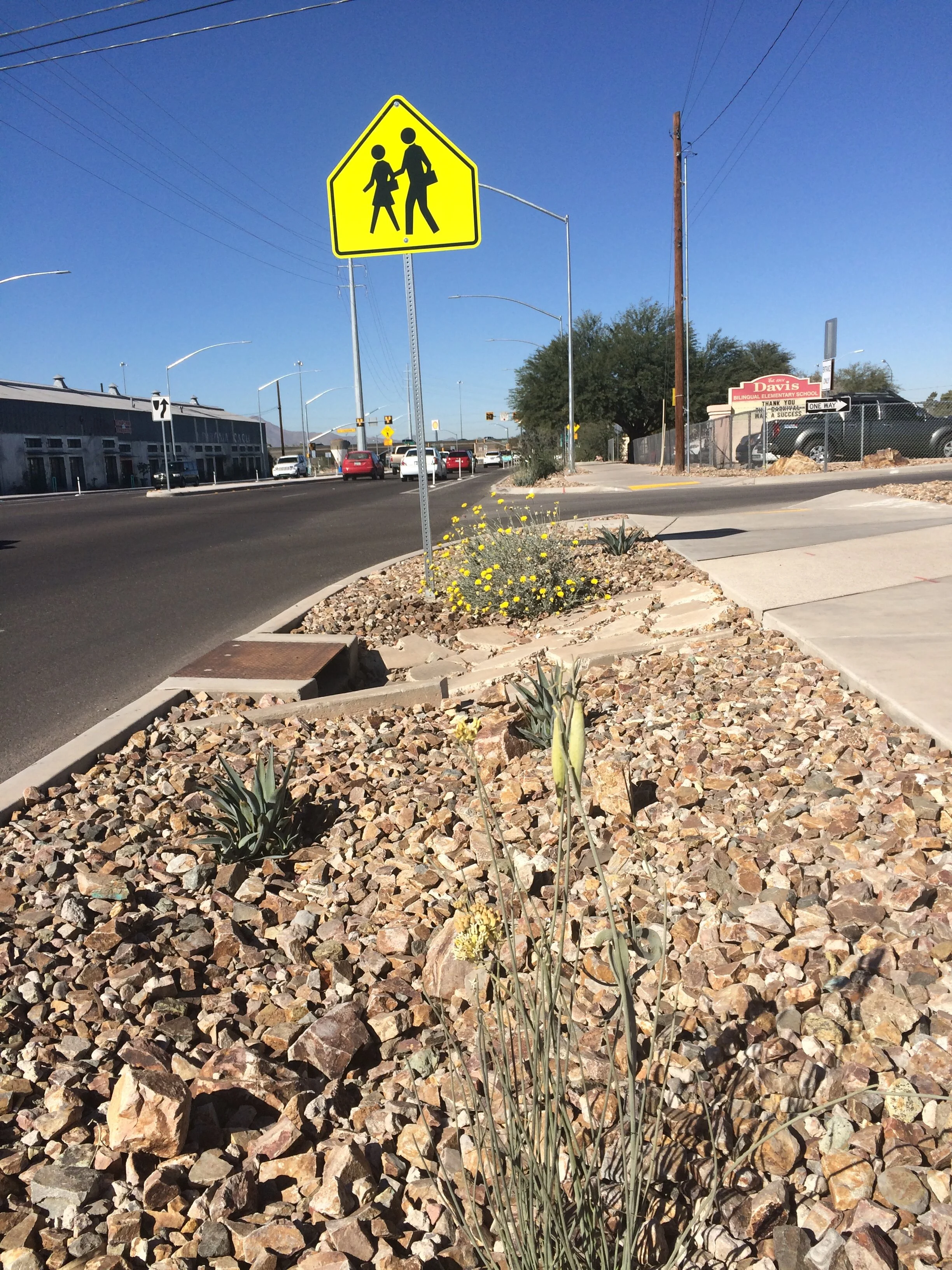 Laura's phone Dec 2014 435.JPG