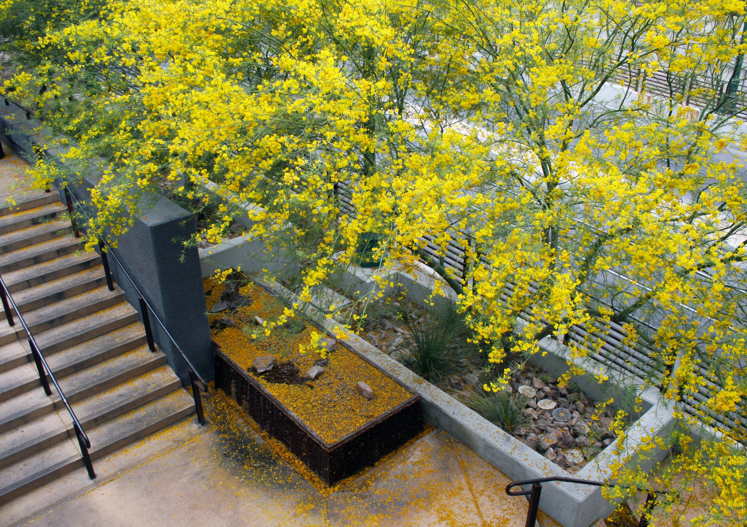 4TH AVENUE UNDERPASS