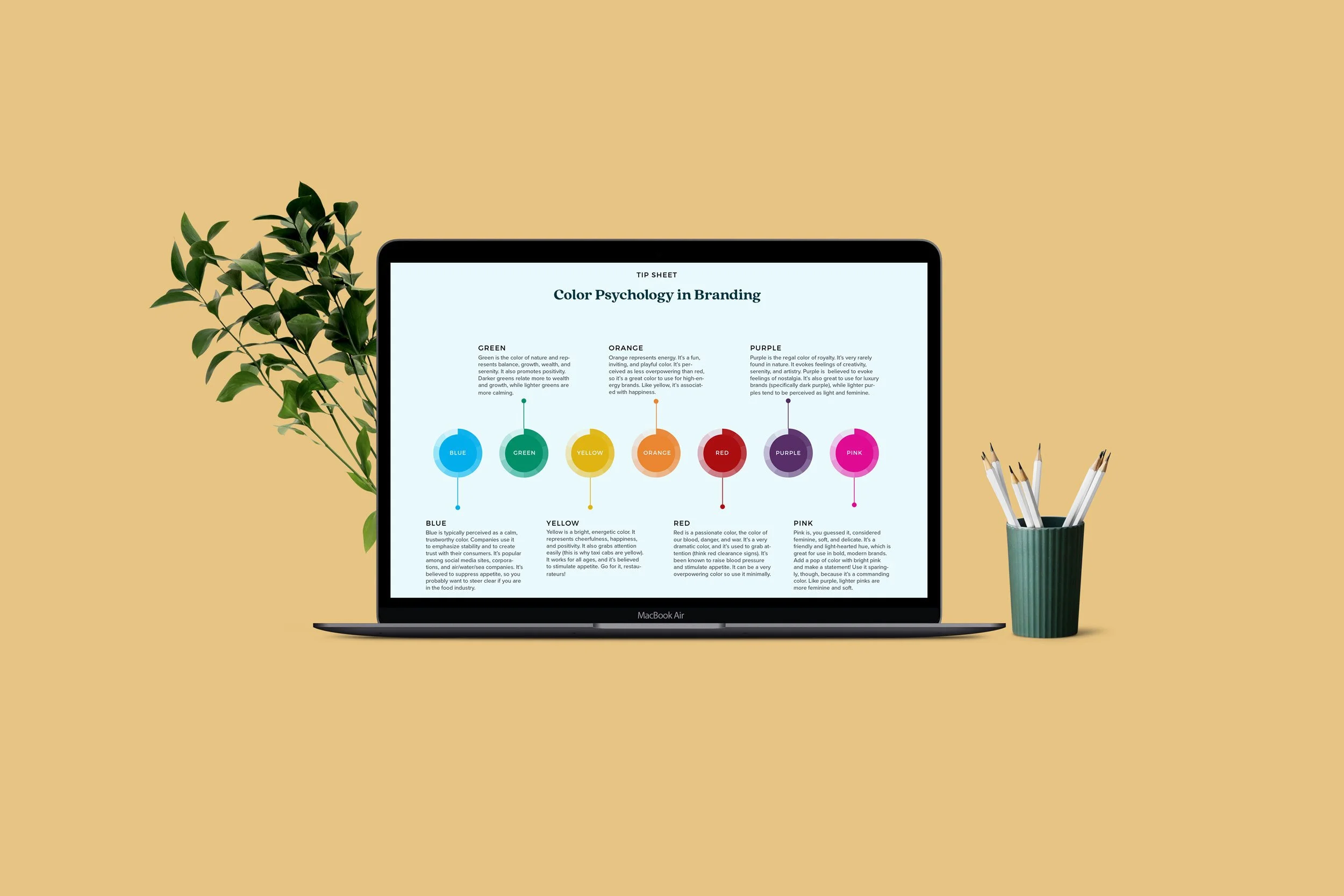 Using Color Psychology In Your Branding