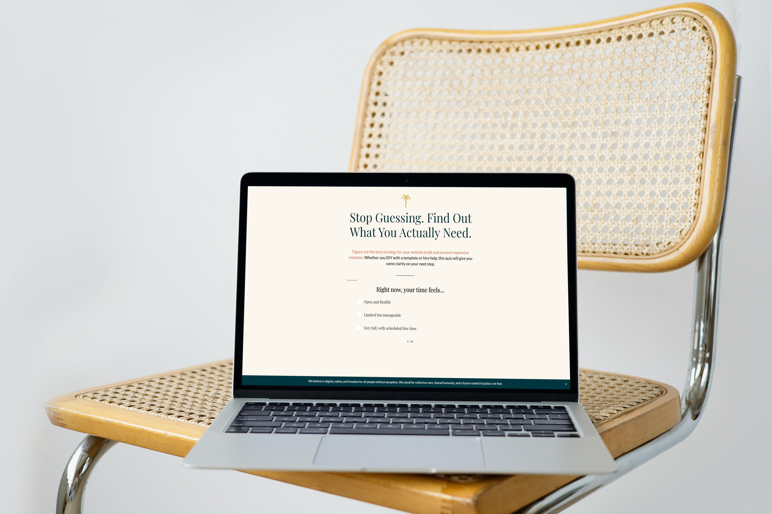 An open laptop displays The Look & The Feel's Website Needs Quiz while sitting on a whicker chair.