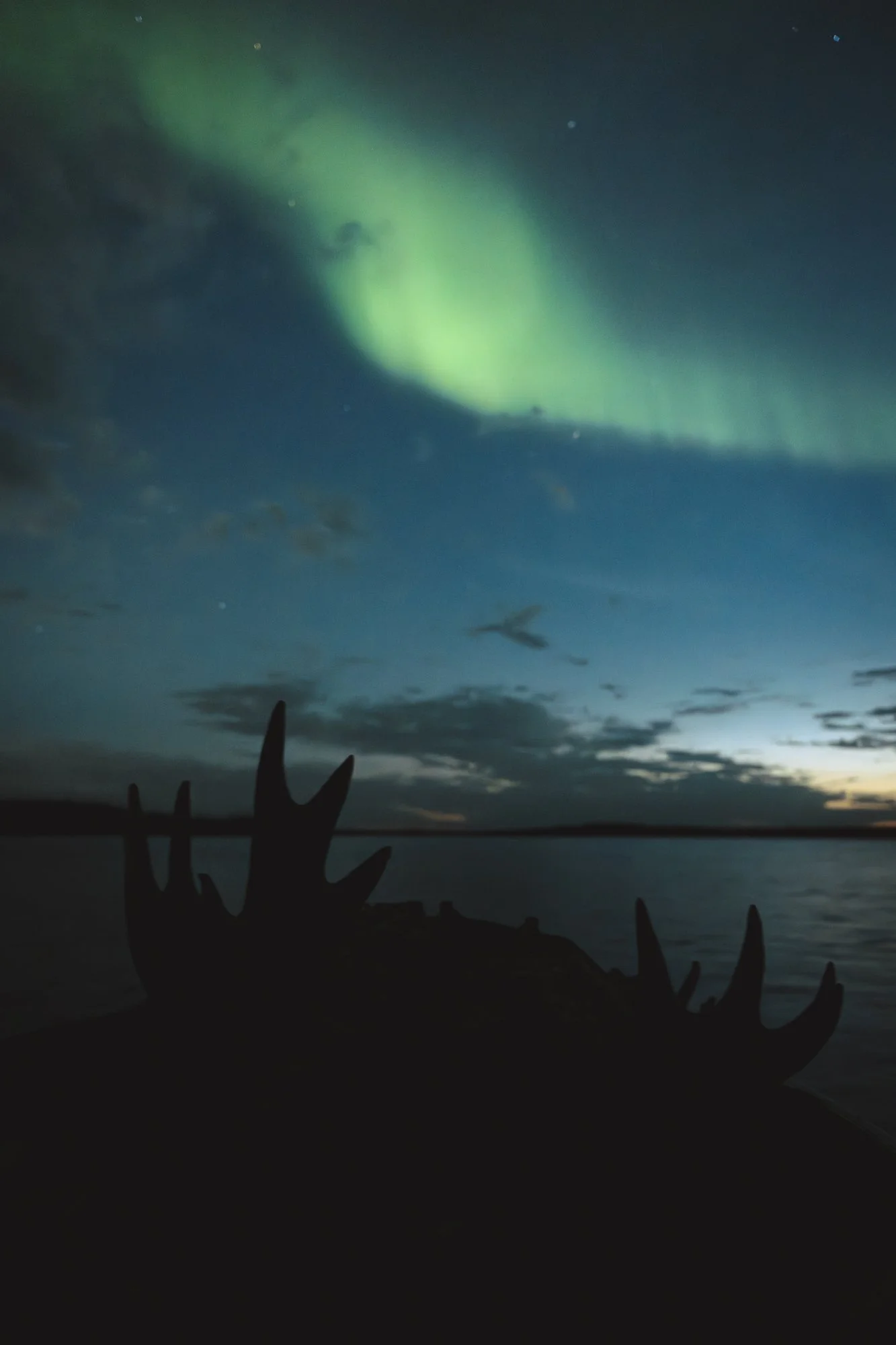 DaveGardner_250930_.jpg