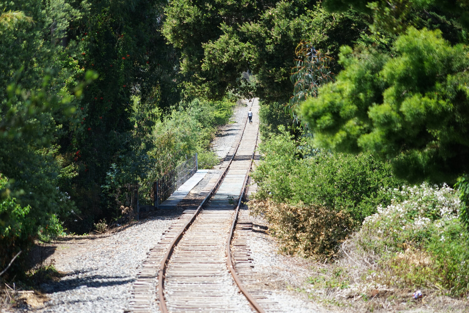 Santa Cruz rail-trail segment to finish in February - Santa Cruz Local