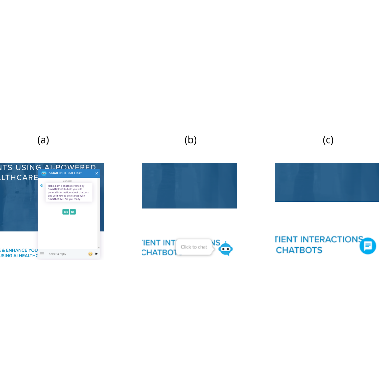 Display Options to Maximize Engagement of Web Chatbots in Healthcare 