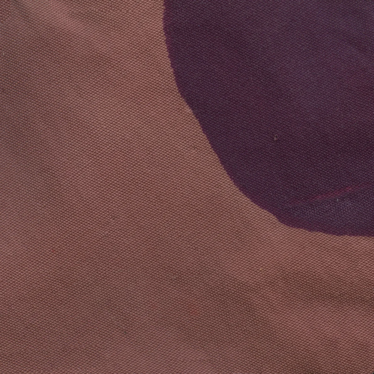 183.jpg