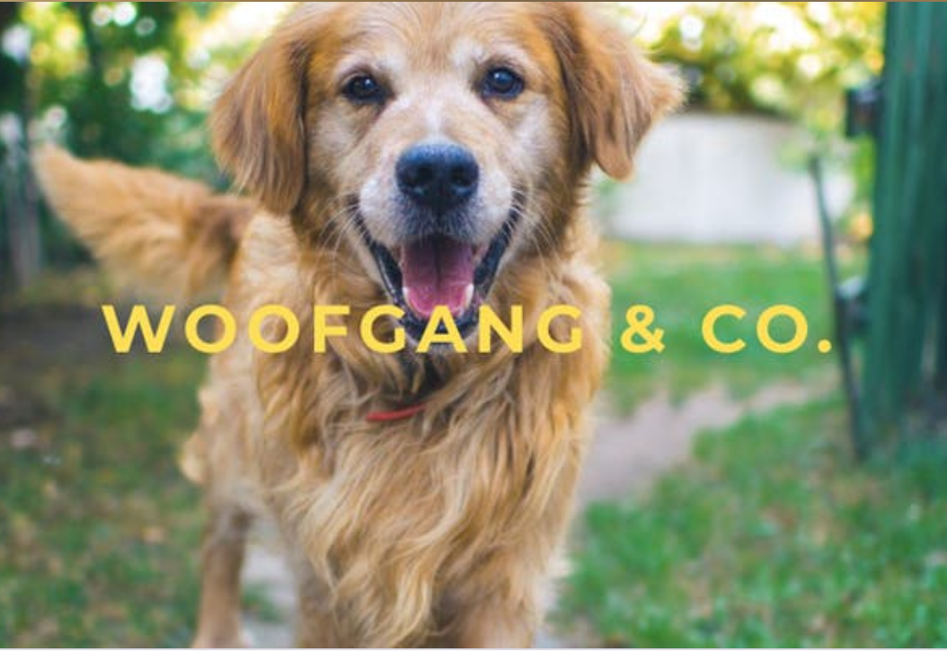 CT Compass Cares Day To Benefit Woofgang &amp; Co.