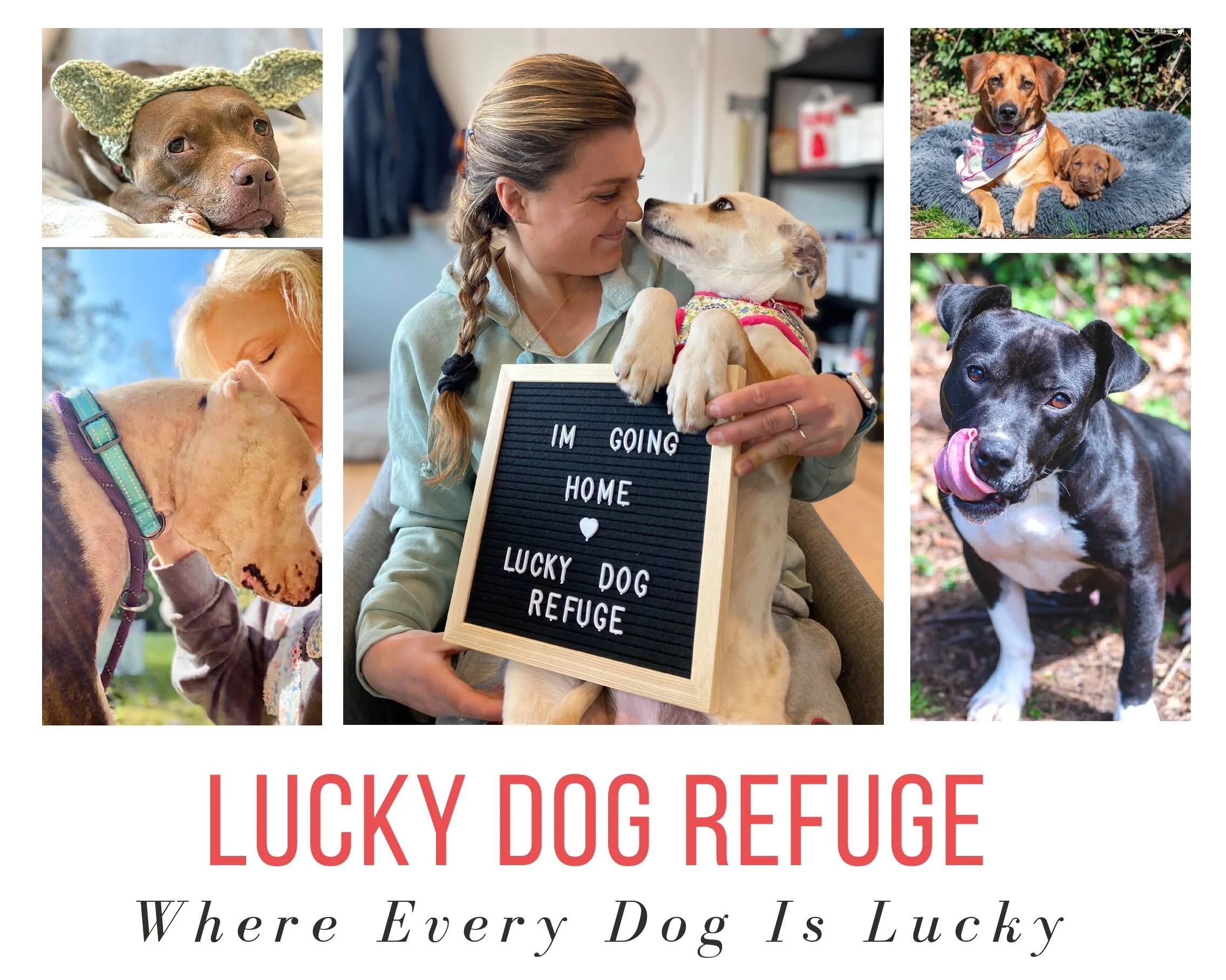 Lucky Dog Refuge Adoption Event