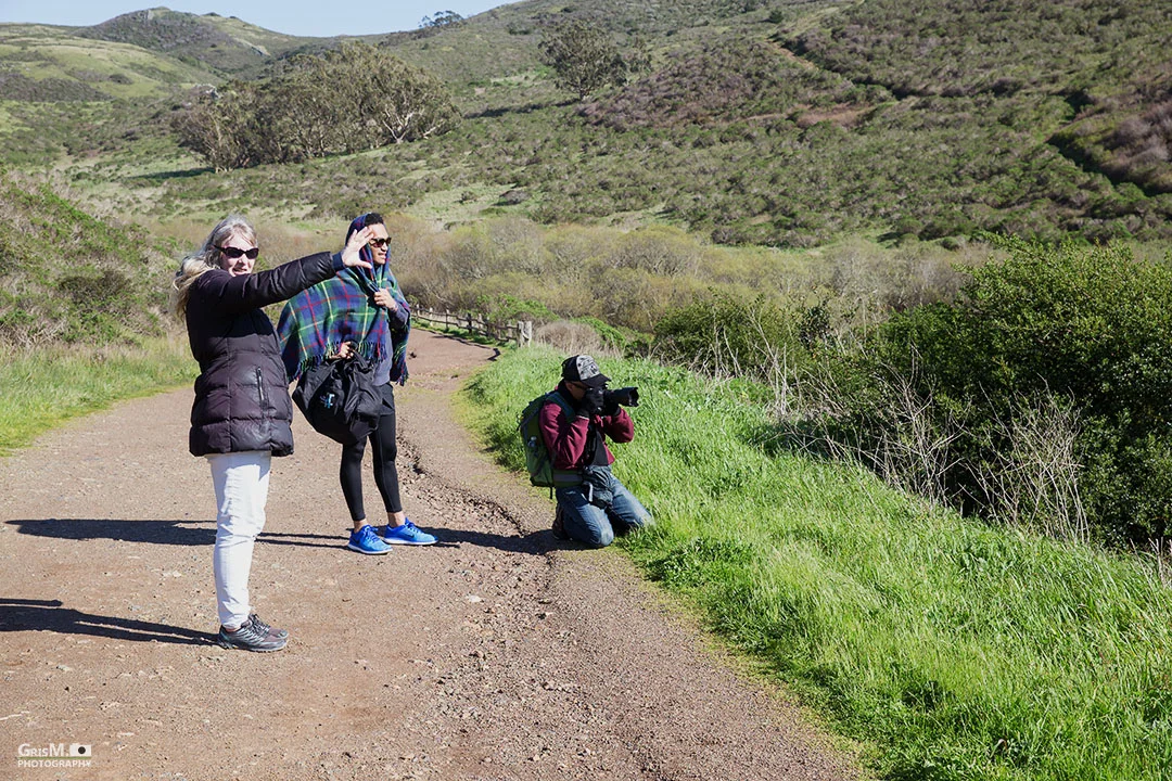 Checking out the landscape.