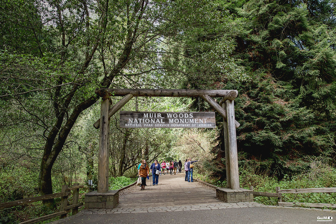 Obviously this is the entrance. There are several trails you can take but this one is divided into 3 different parts, I believe. A .5 mile trail, a 1 mile trail and a 2 mile trail. They all have a turnaround point when they reach their respective distances. 