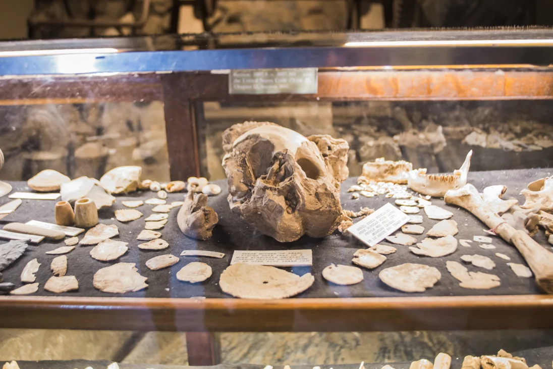 According to our tour guide, when they first discovered the cave, they found some human remains. This is an actual human skull. One of the few artifacts that the caves were allowed to keep.