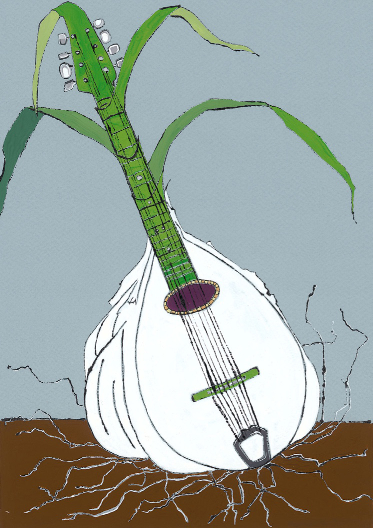 Garlic Mandolin