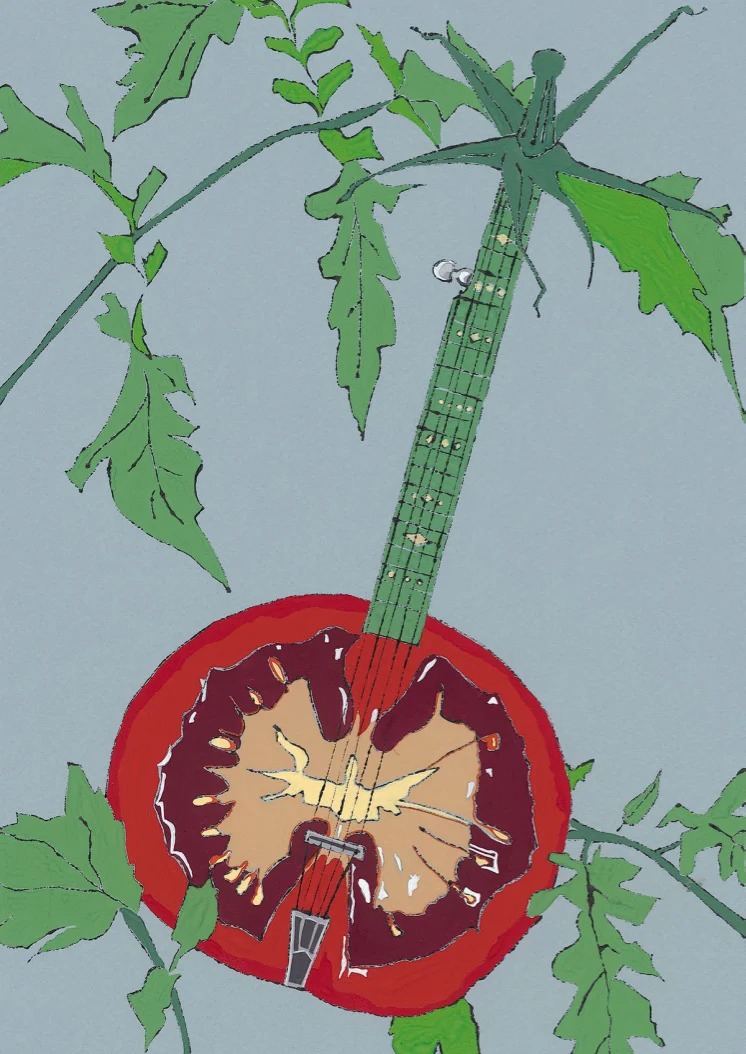 Tomato Banjo