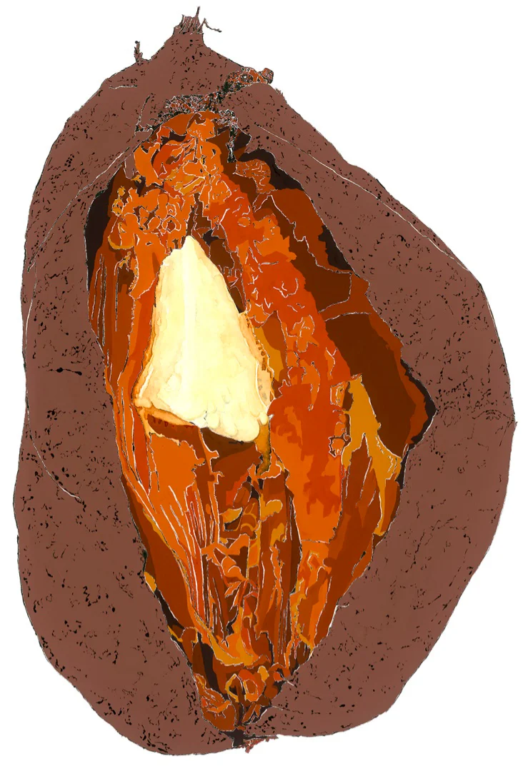 Sweet Potato