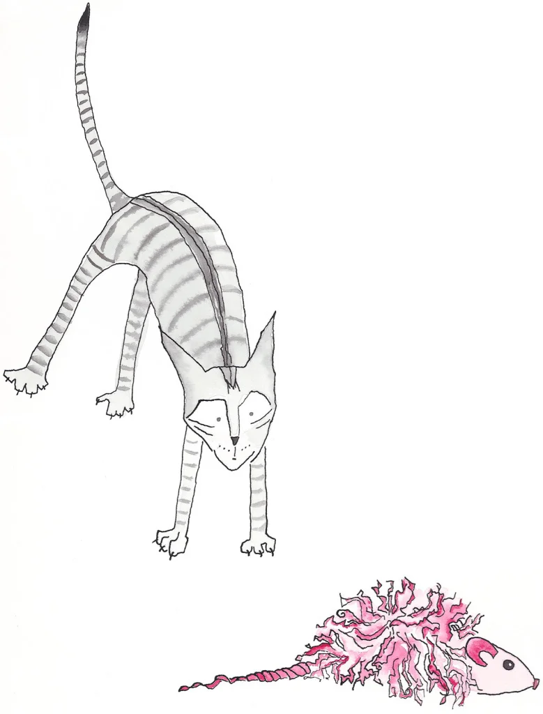 Pounce