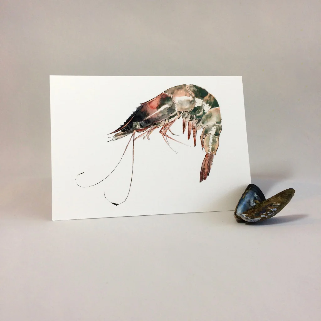 Prawn Greetings Card