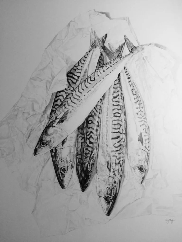Mackerel-on-Paper-Pencil-Drawing-by-Lucy-Clayton-Kent-Artist-Fish-Art-.jpg