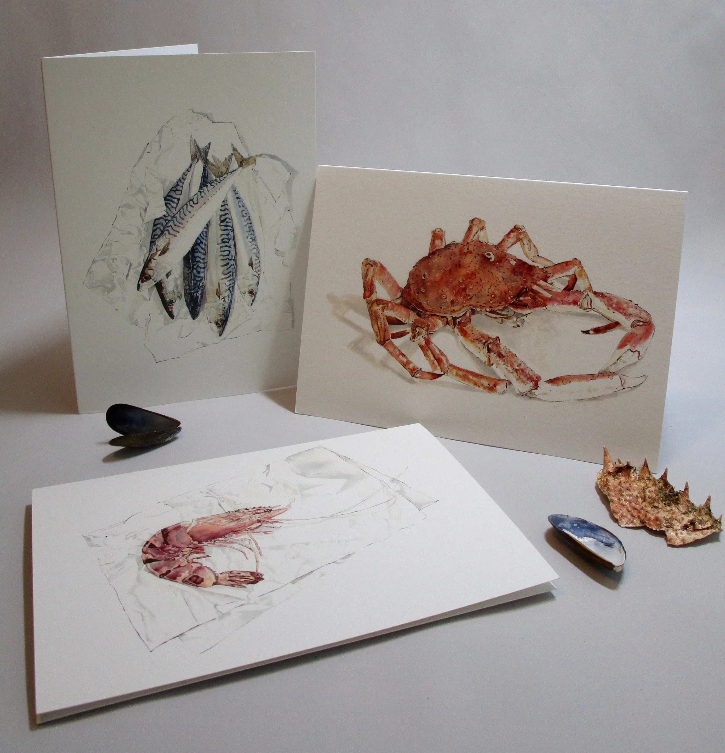 Mackerel, Spider Crab & Tiger Prawn Greetings Cards of Original Paintings