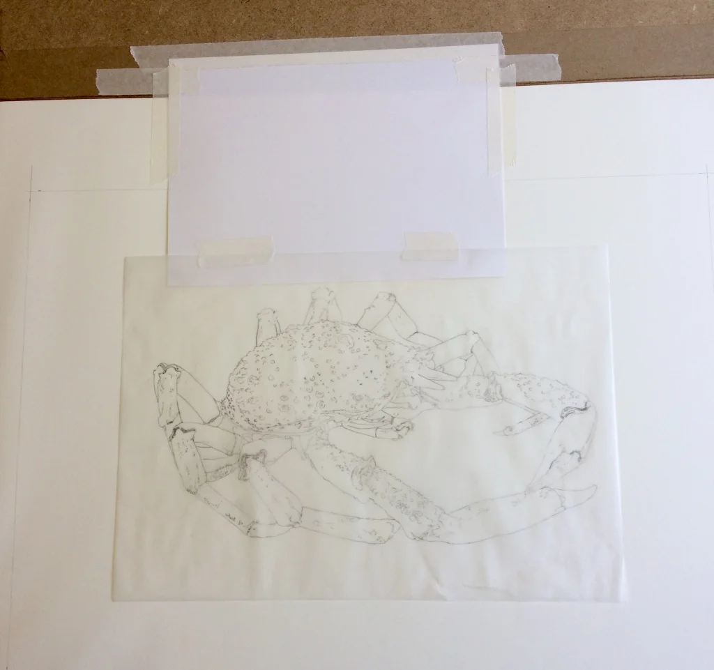 Positioning the tracing on watercolour paper