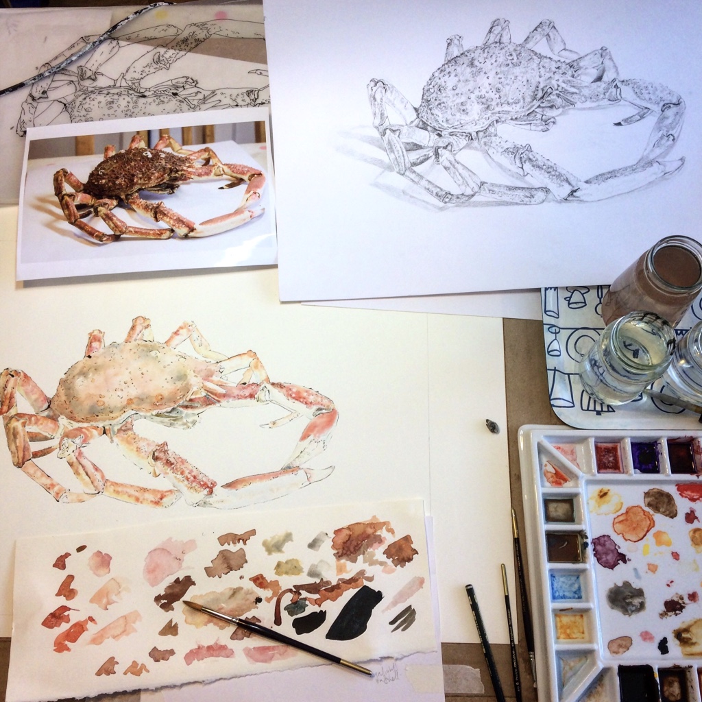 Painting Blotted Line print of Spider Crab
