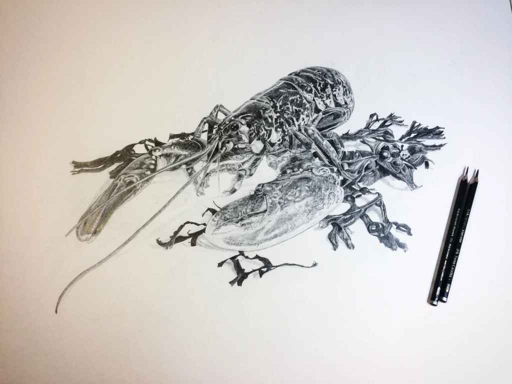 Native Lobster Pencil Drawing