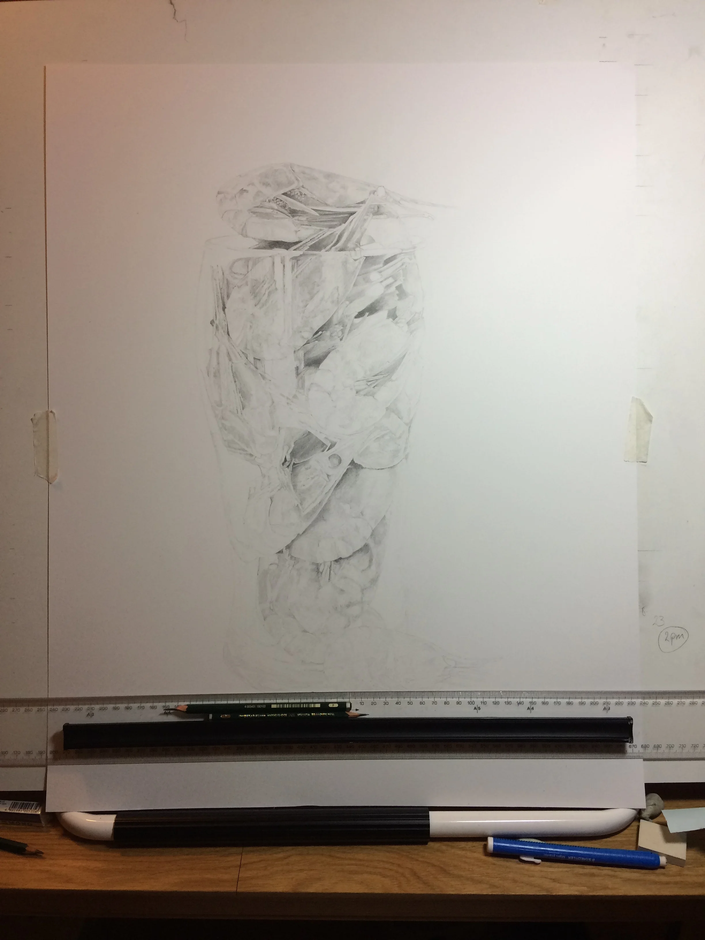 Adding tone to the Pint of Prawns drawing