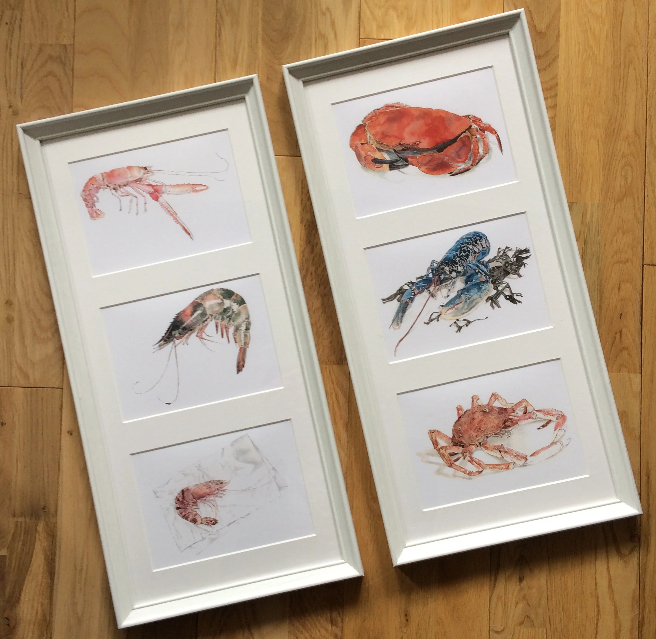 Framed seafood greetings cards