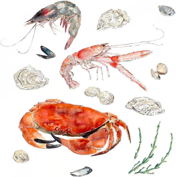 Seafood - Blotted Line & Watercolour